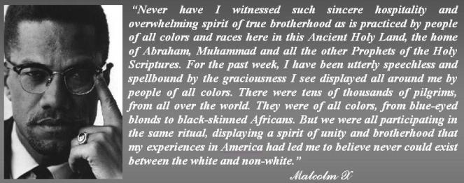 malcolm x-1
